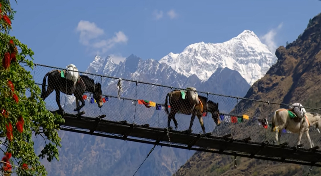 Remote villages and luch valleys of the Manaslu Tsum Valley Trek with towering Himalayan peaks.